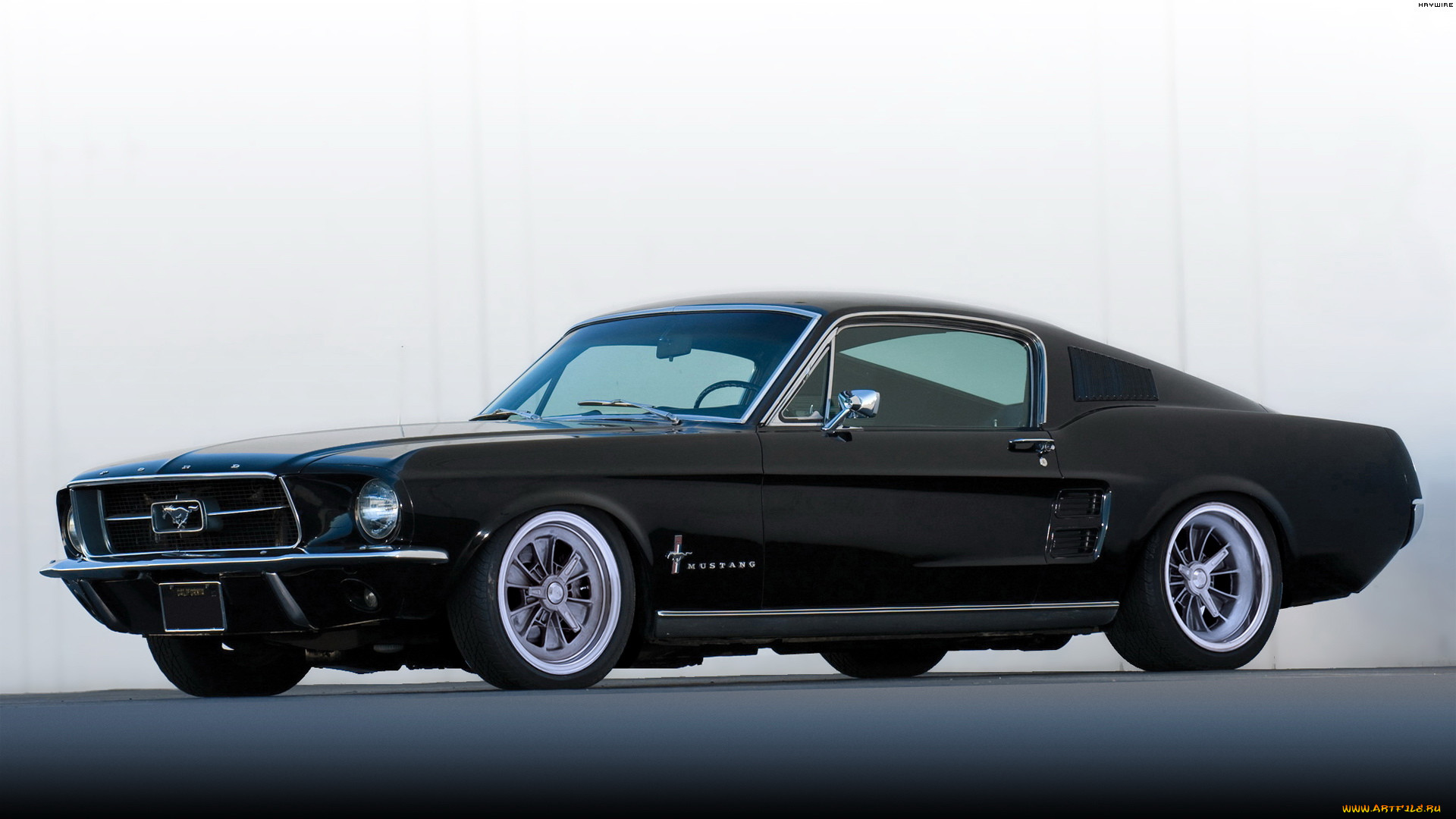, mustang